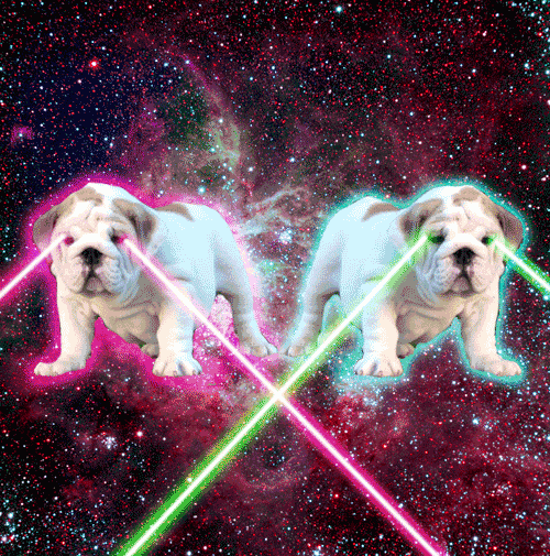 spacedog_lasereyes
